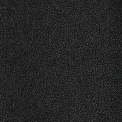 KRAVET DESIGN L-TUCUM.BLACK.0 KRAVET DESIGN L-TUCUM-BLACK Fabric - Eade's Wallpaper