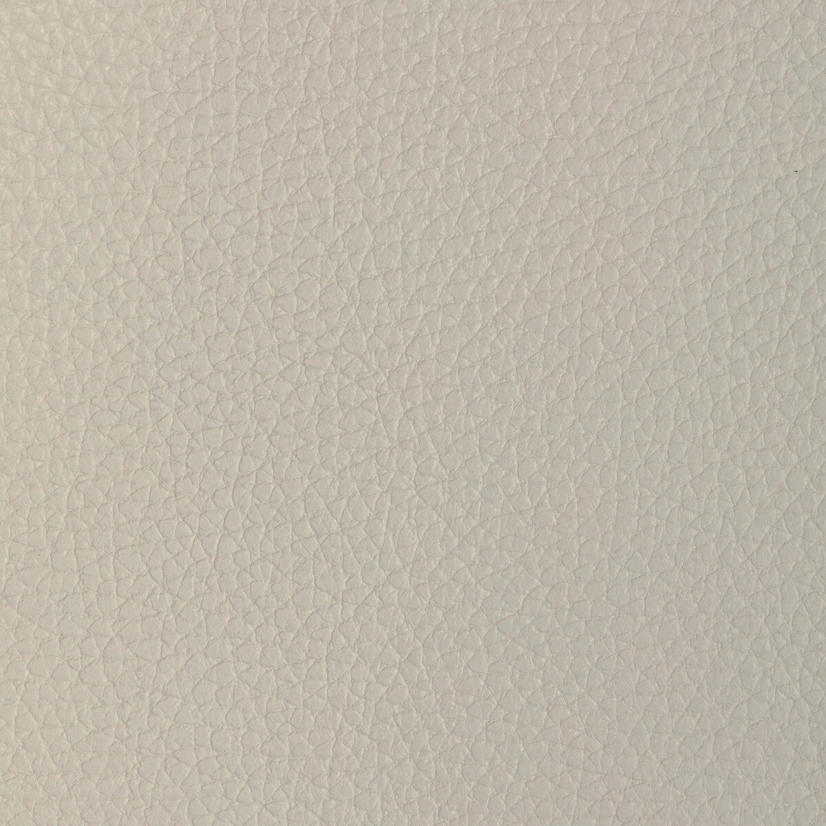 KRAVET DESIGN L-TUCUM.DOVE.0 KRAVET DESIGN L-TUCUM-DOVE Fabric - Eade's Wallpaper