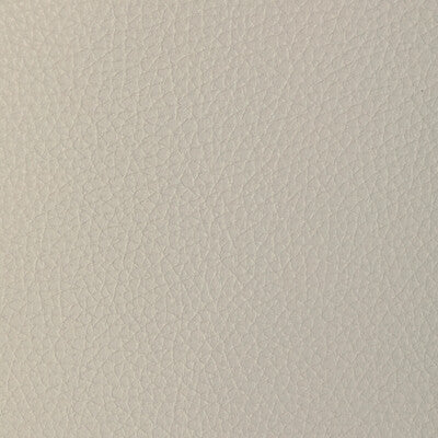 KRAVET DESIGN L-TUCUM.DOVE.0 KRAVET DESIGN L-TUCUM-DOVE Fabric - Eade's Wallpaper