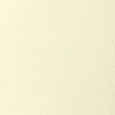 KRAVET DESIGN L-TUCUM.IVORY.0 KRAVET DESIGN L-TUCUM-IVORY Fabric - Eade's Wallpaper