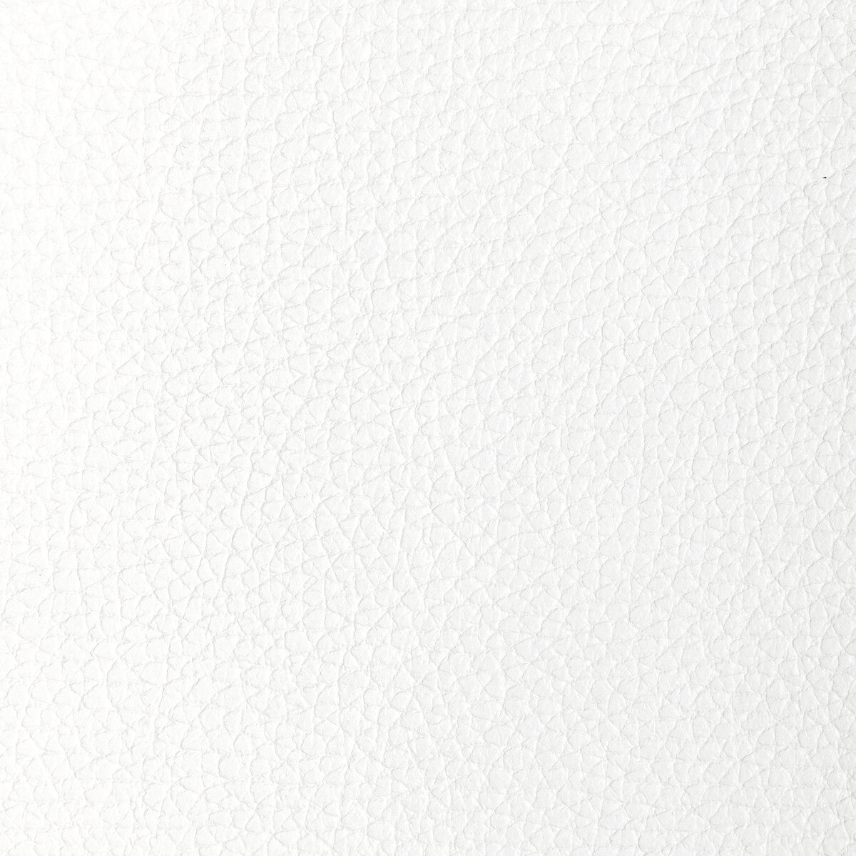 KRAVET DESIGN L-TUCUM.POWDER.0 KRAVET DESIGN L-TUCUM-POWDER Fabric - Eade's Wallpaper