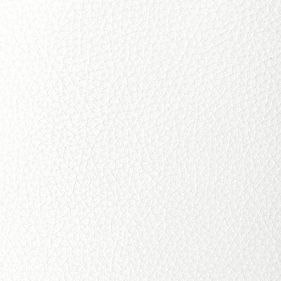 KRAVET DESIGN L-TUCUM.POWDER.0 KRAVET DESIGN L-TUCUM-POWDER Fabric - Eade's Wallpaper