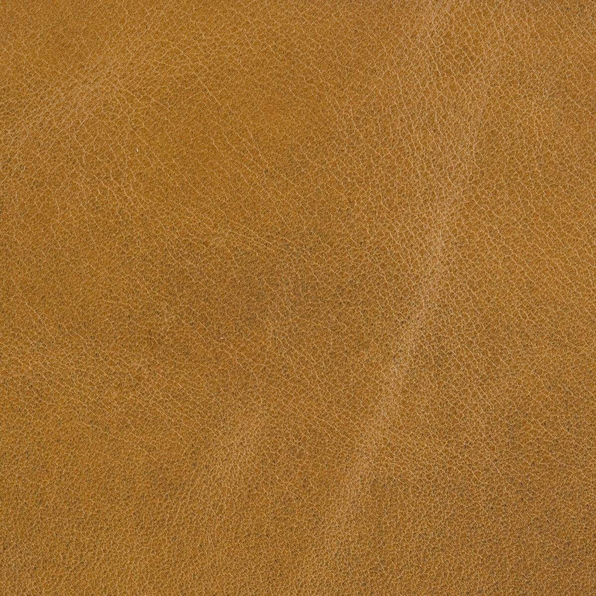 KRAVET DESIGN L-UTAH.MUSTARD.0 L-UTAH MUSTARD Fabric - Eade's Wallpaper