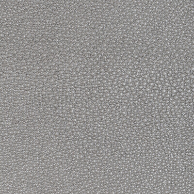 KRAVET DESIGN L-WHIT.GREY.0 KRAVET DESIGN L-WHIT-GREY Fabric - Eade's Wallpaper
