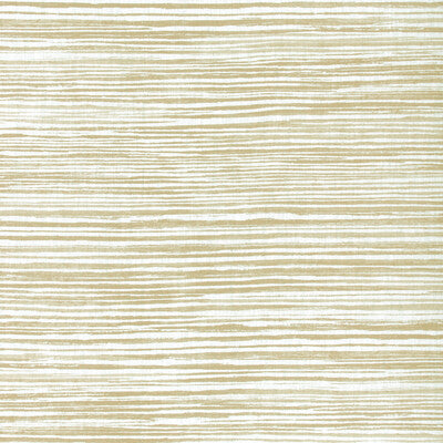 KRAVET BASICS LANDLINES.161.0 LANDLINES TAN Fabric - Eade's Wallpaper