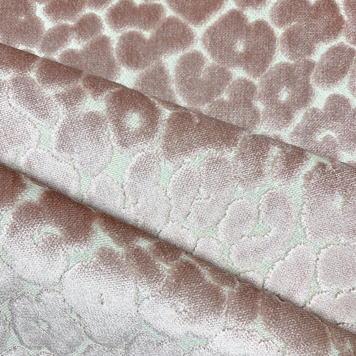 Eade’s LANDON POSEY POSEY