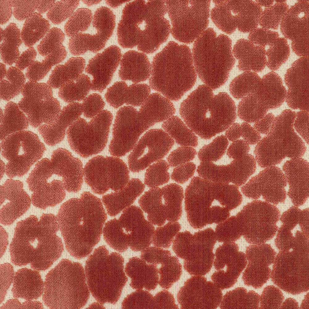 Eade’s LANDON SALMON SALMON