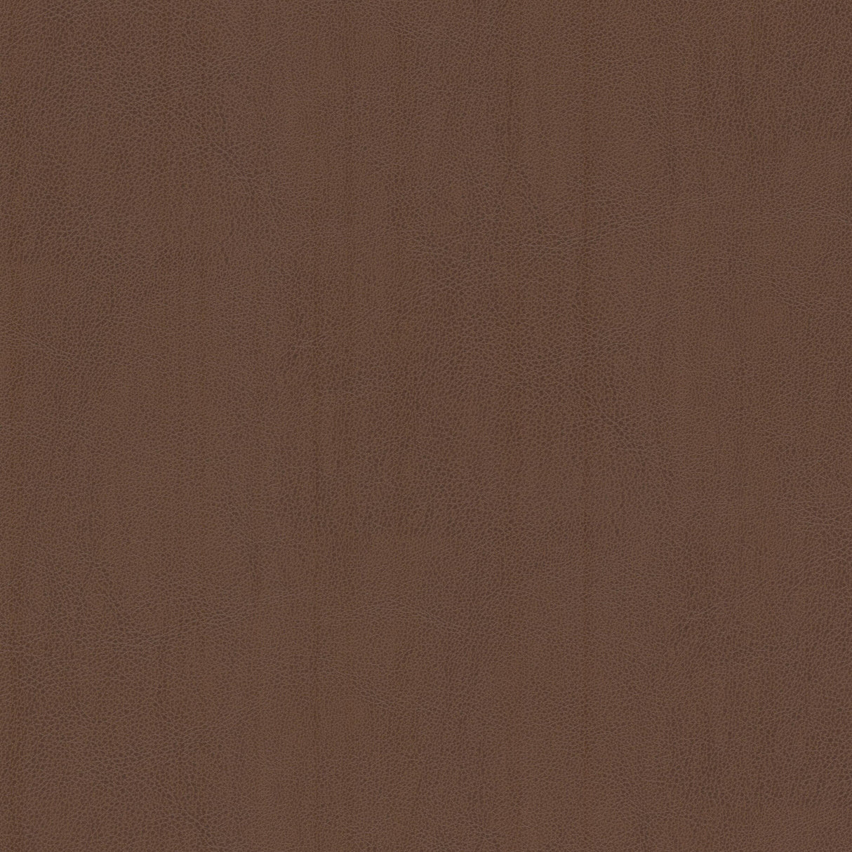 Eade's LANI-1-sample BROWN