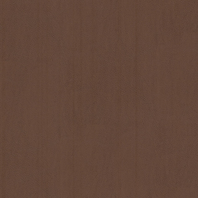 Eade's LANI-1-sample BROWN