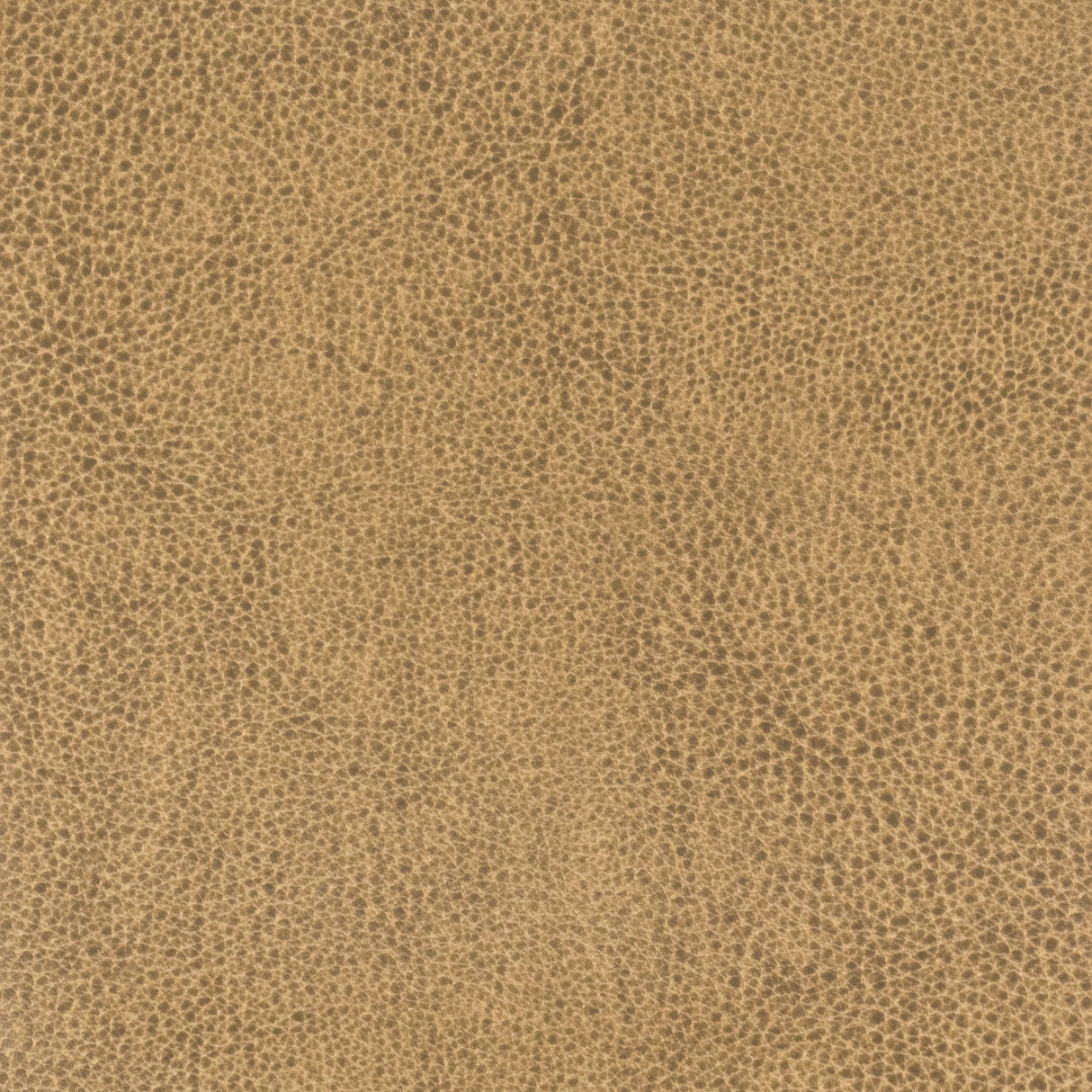 Eade's LANI-10-sample NUT