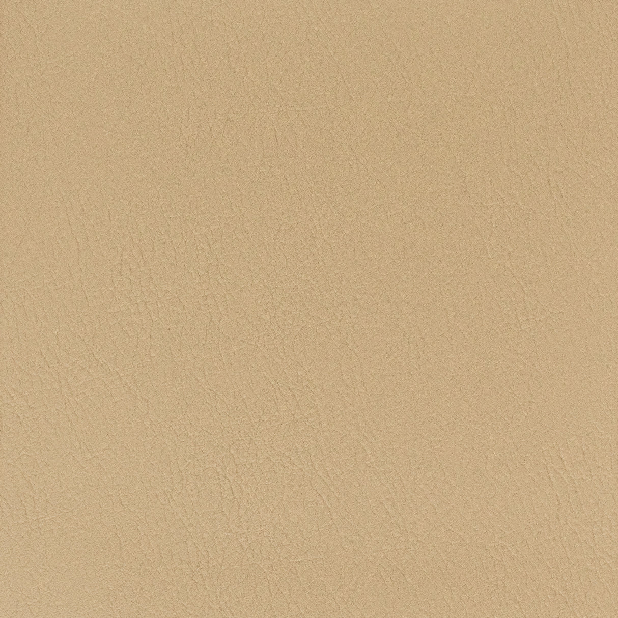 Eade's LANI-11-sample CHESTNUT