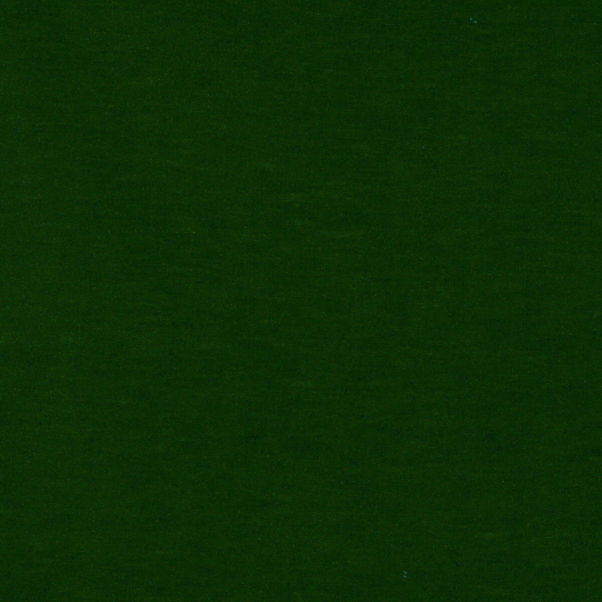 GASTON Y DANIELA LCT1013.017.0 MERES VERDE Fabric - Eade's Wallpaper