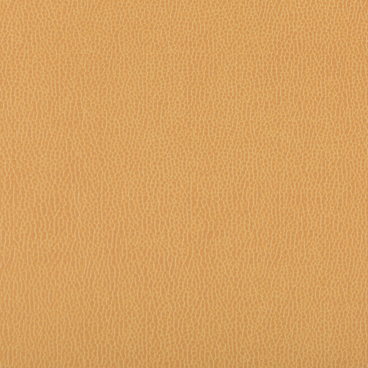 KRAVET CONTRACT LENOX.4.0 LENOX CAMEL Fabric - Eade's Wallpaper