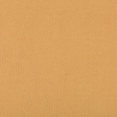 KRAVET CONTRACT LENOX.4.0 LENOX CAMEL Fabric - Eade's Wallpaper