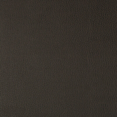 KRAVET CONTRACT LENOX.66.0 LENOX JAVA Fabric - Eade's Wallpaper