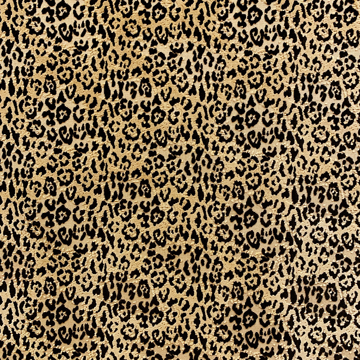 Eade’s LEO ONYX ONYX