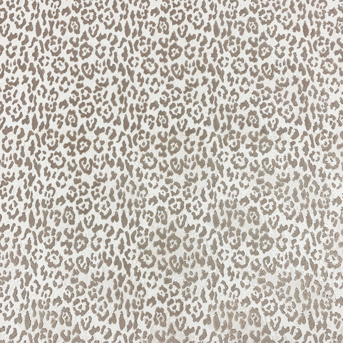 Eade’s LEO SNOW SNOW