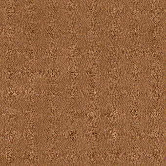 KRAVET DESIGN LITESTAR.412.0 LITESTAR COPPER Fabric - Eade's Wallpaper