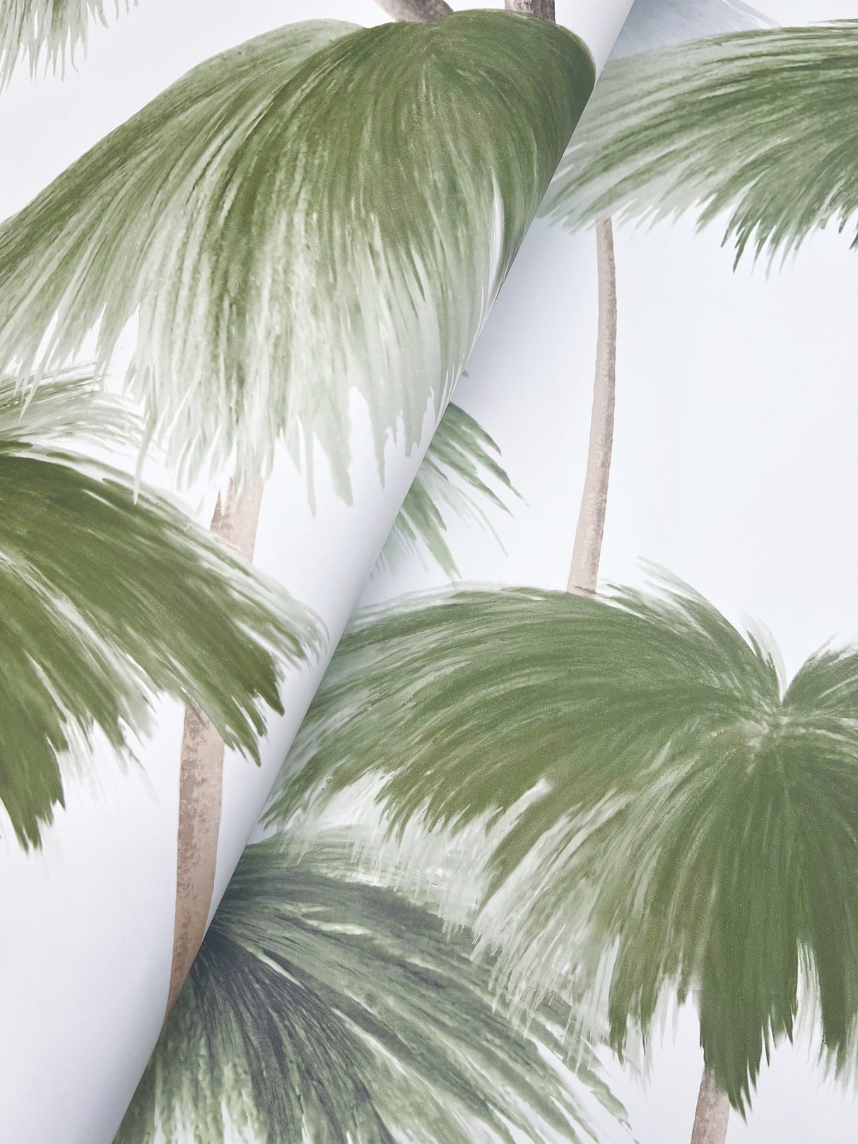 York LM5431 Plein Air Palms Green Wallpaper