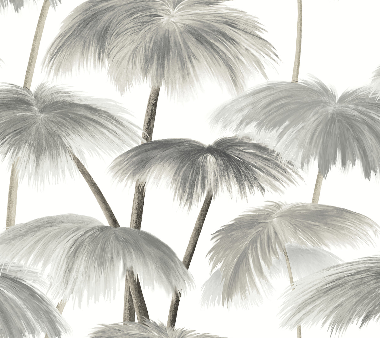 York LM5432 Plein Air Palms Black & White Wallpaper