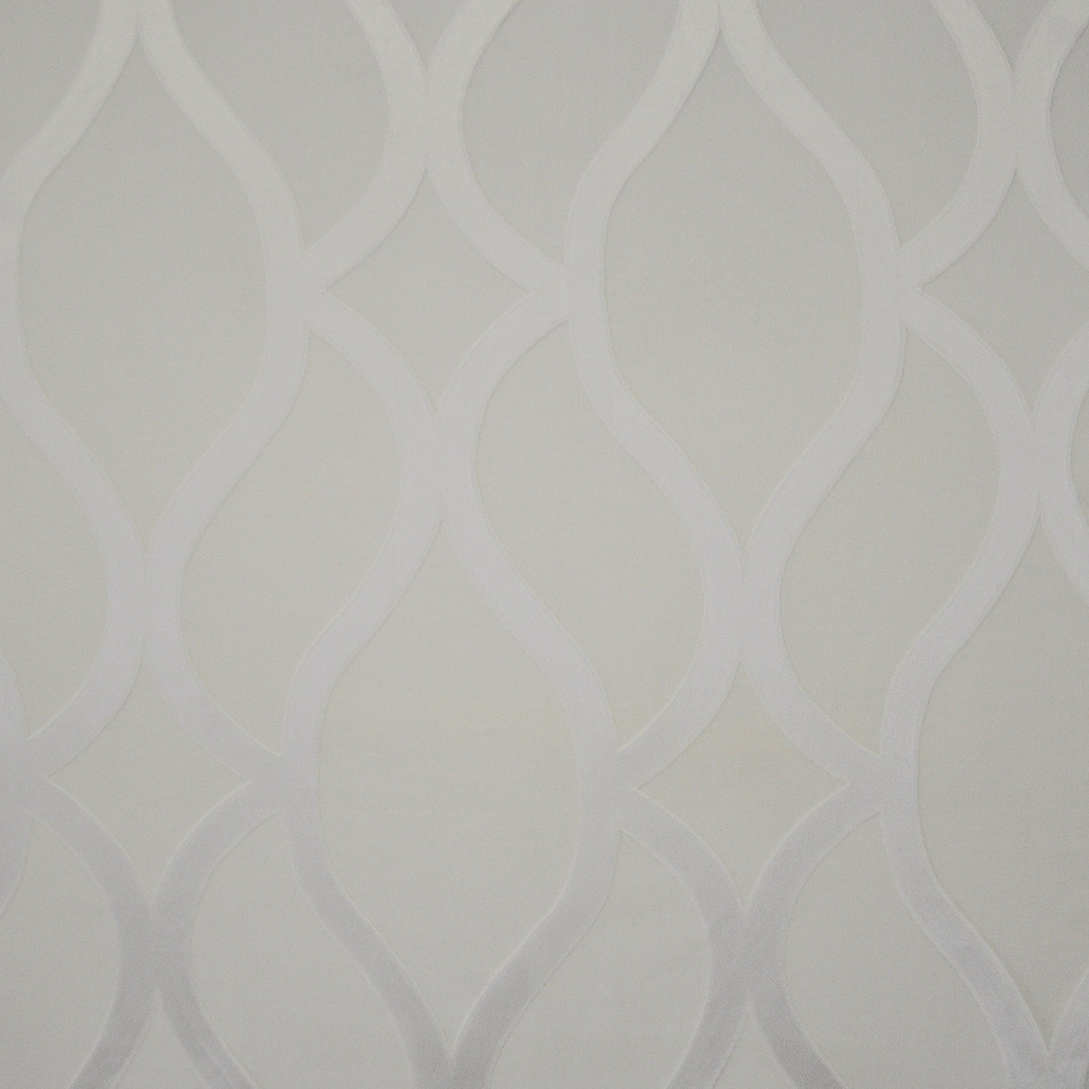 Eade’s # 701 CLOUD