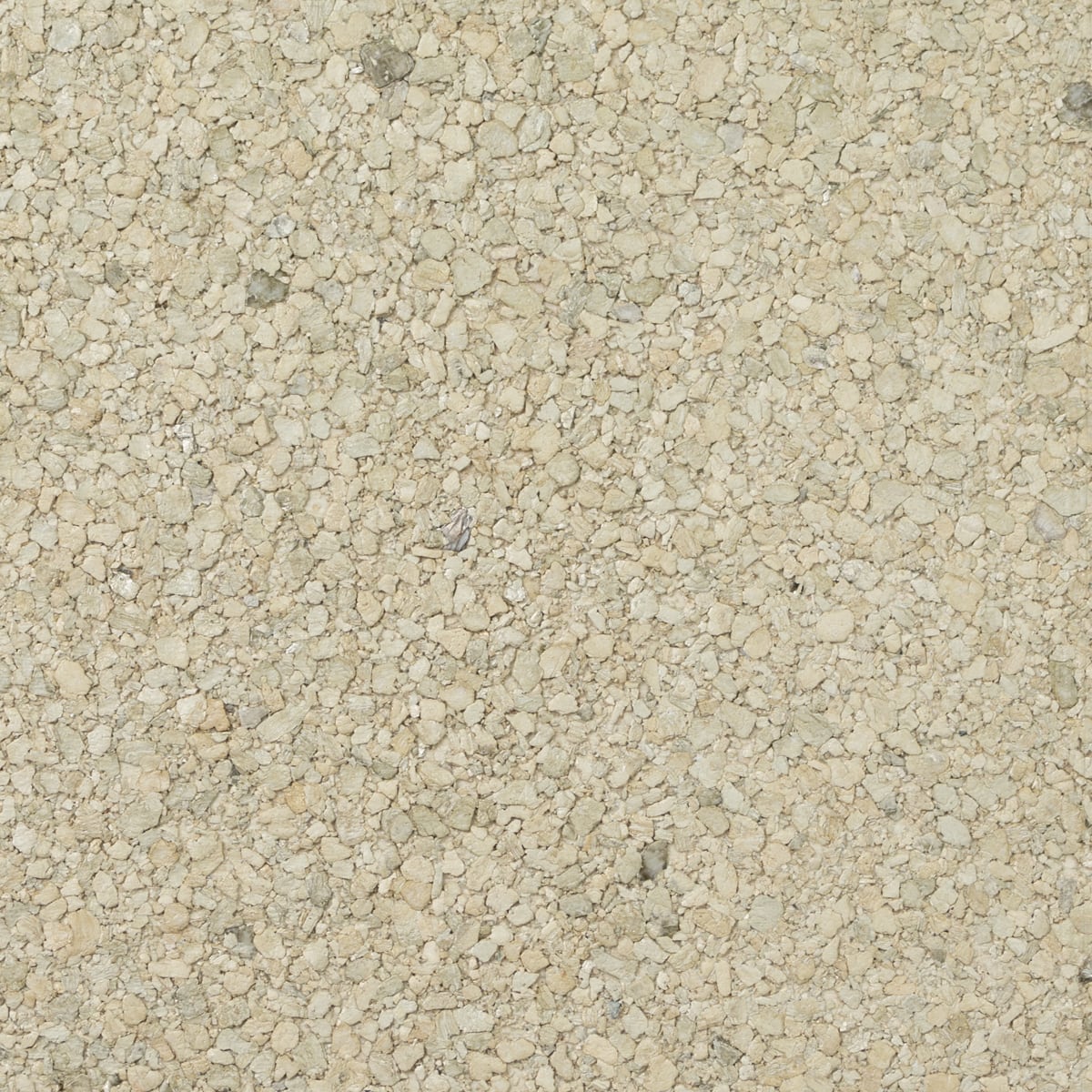 Lillian August LN11843 Mica