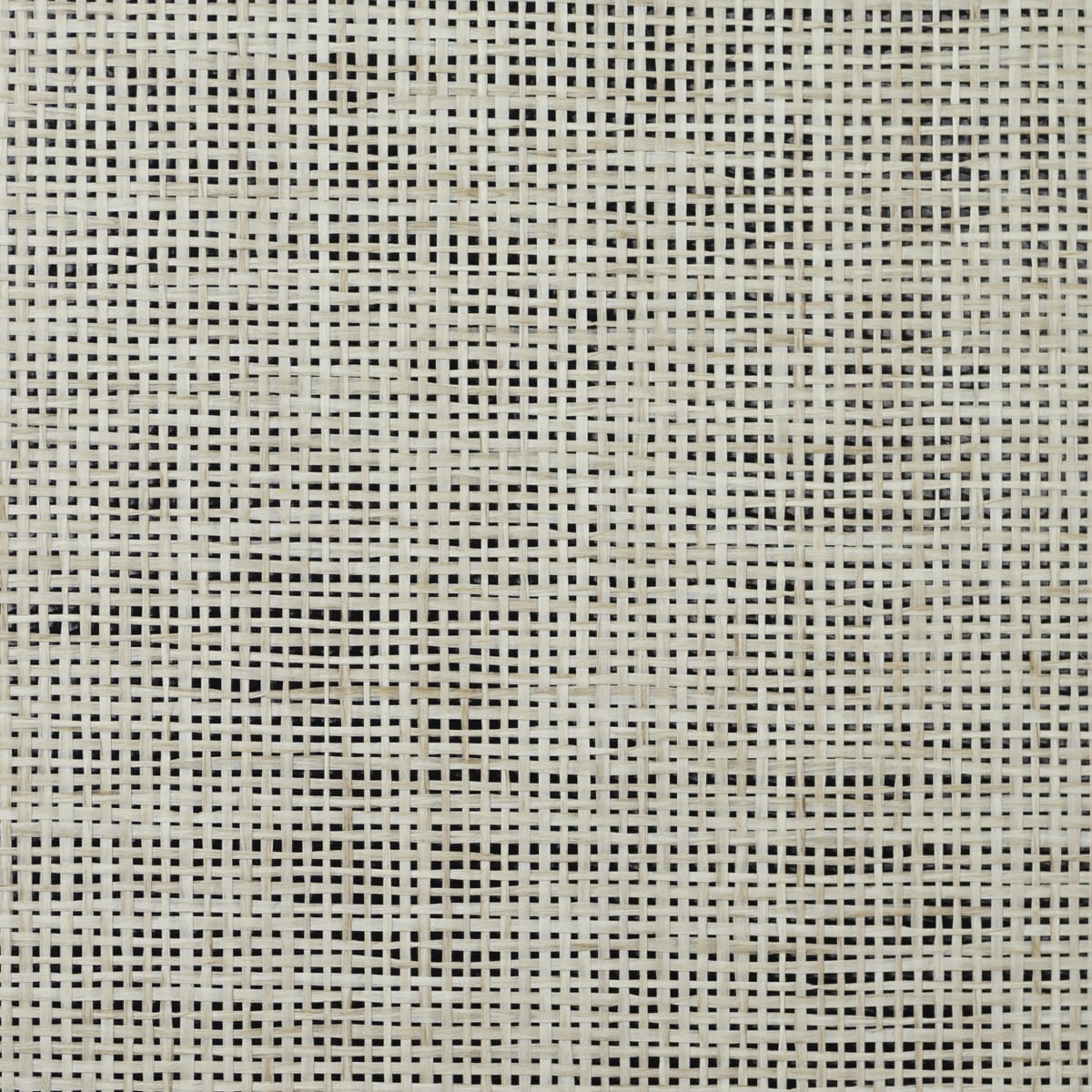 Lillian August LN11886 Paperweave