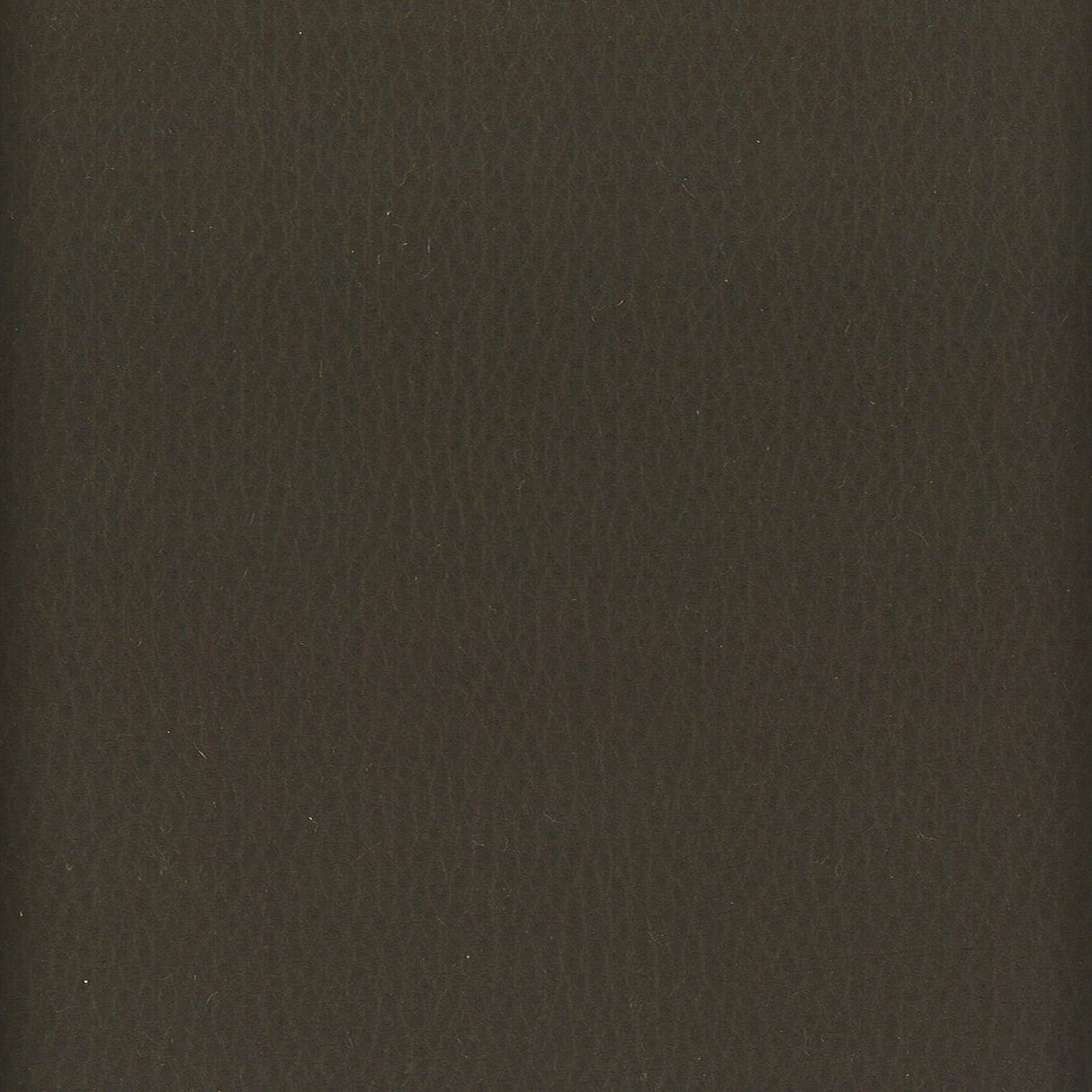Eade's LODG-8-sample SLATE