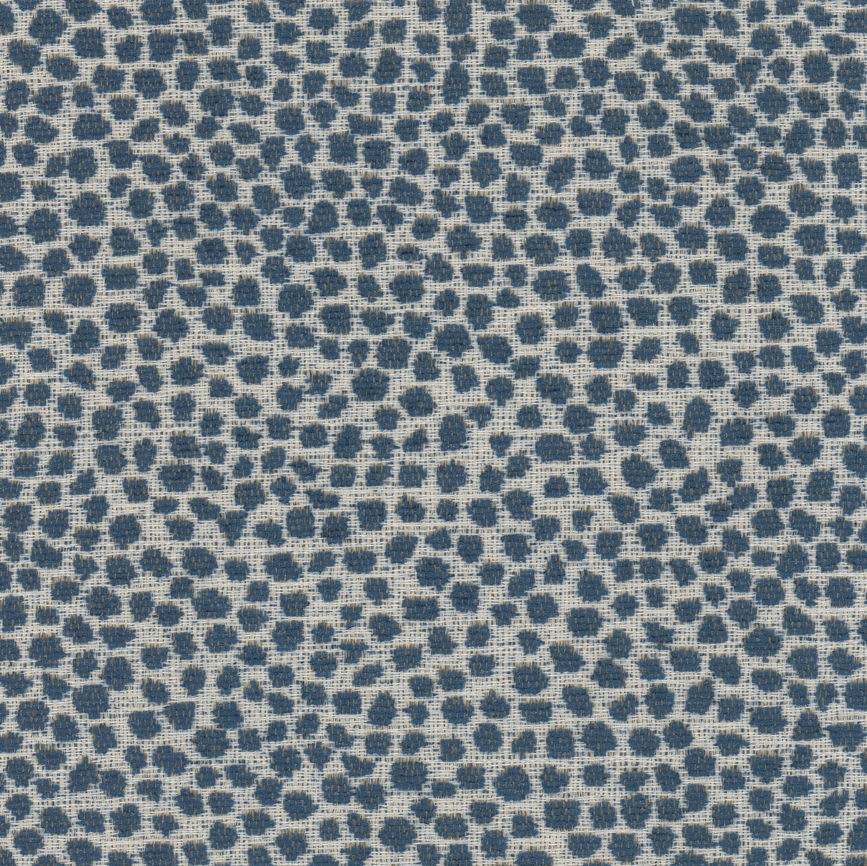 Eade's LOLL-1-sample NAVY