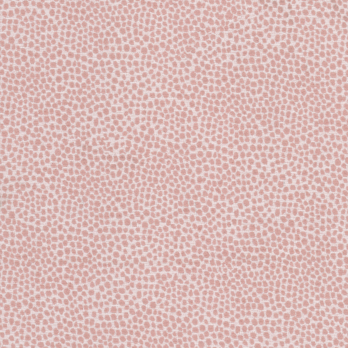 Eade's LOLL-4-sample POWDER