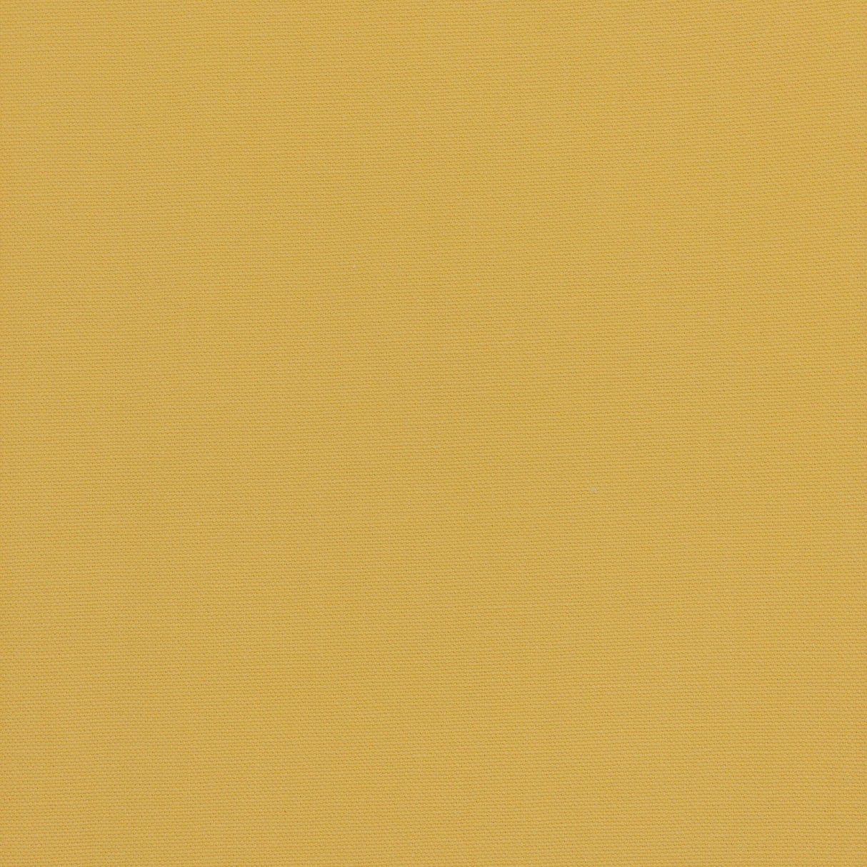 Eade's LONN-3-sample CORNHUSK