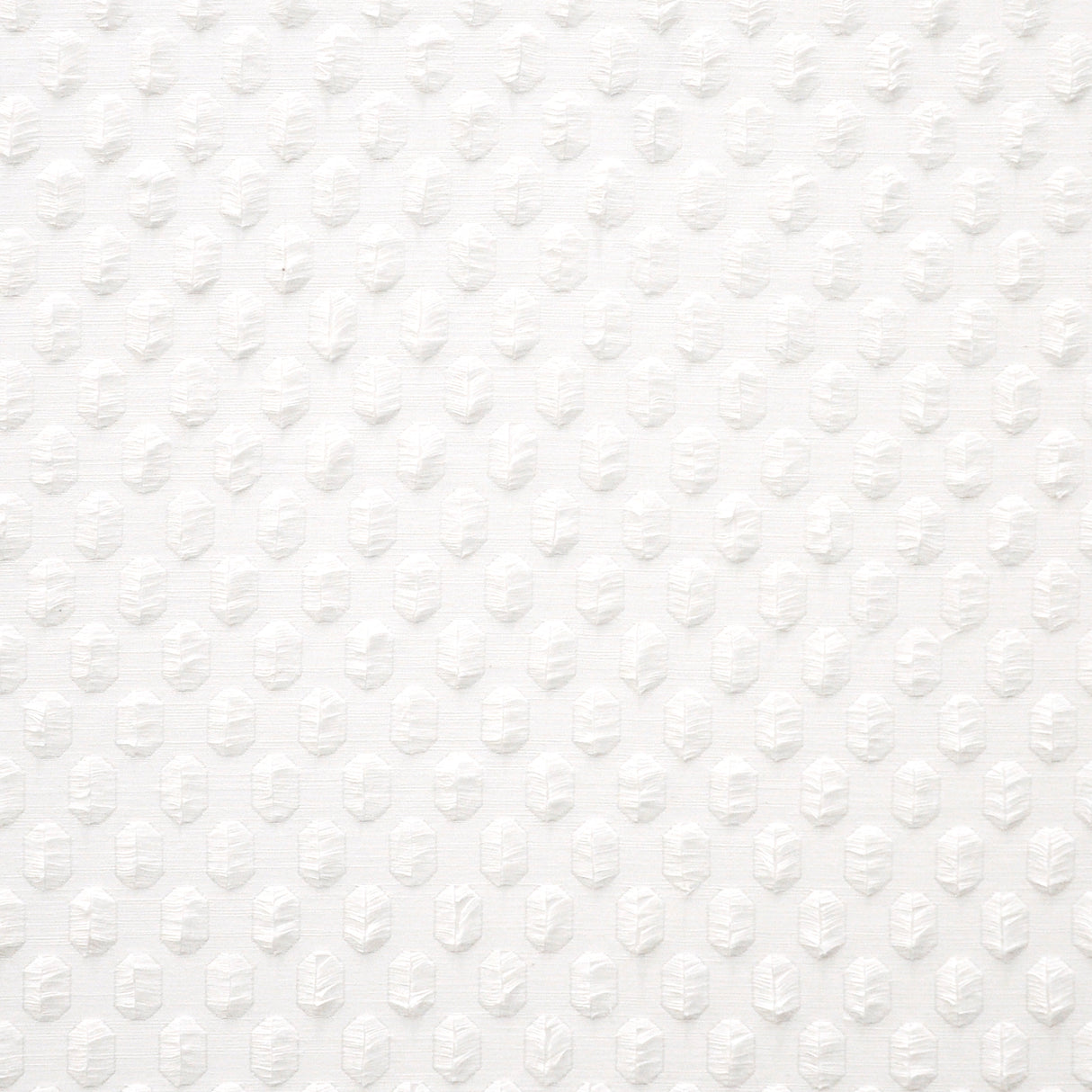 Eade’s # 527 OPTIC WHITE