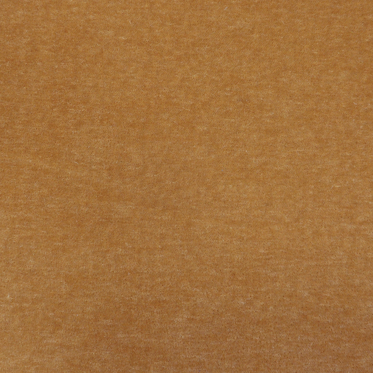 Eade’s # 403 CAMEL