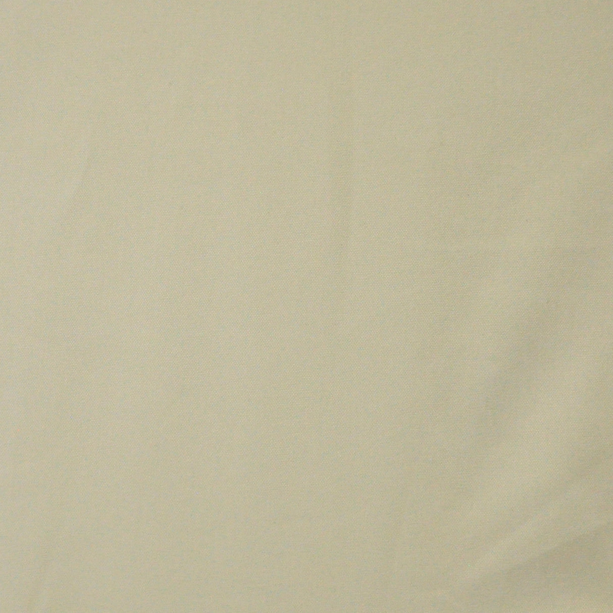 Eade’s # 620 MARROW