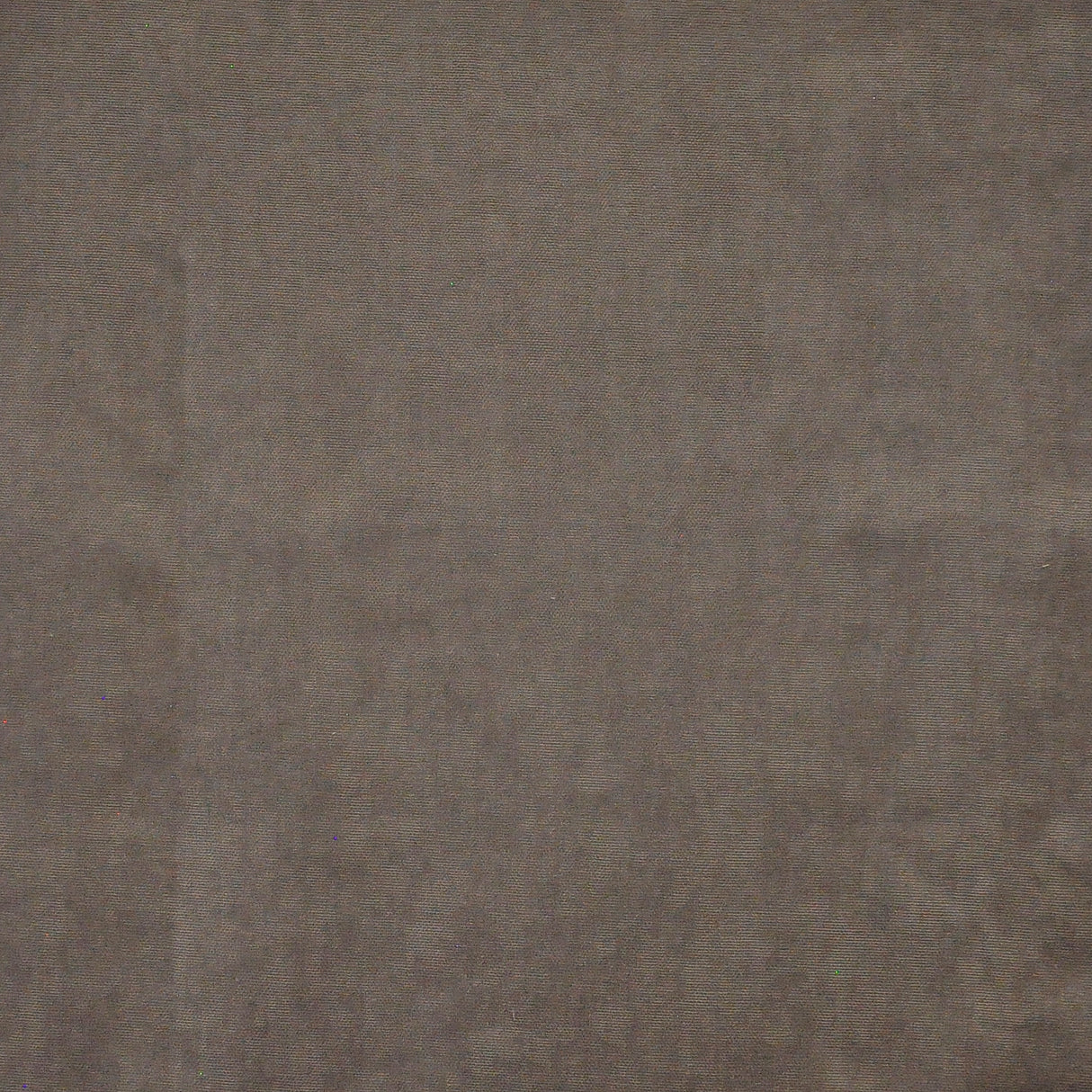 Eade’s # 662 MOOSE