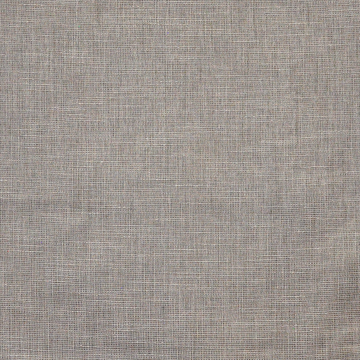 Eade’s # 654 PIGEON