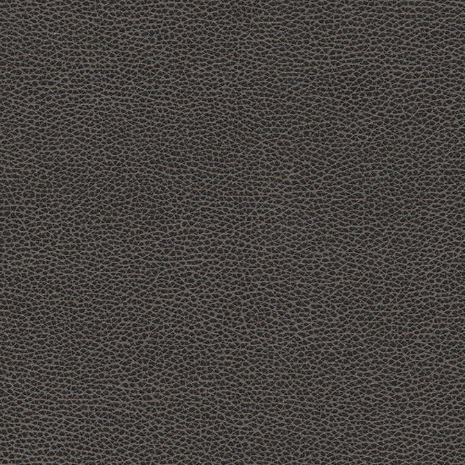 Eade’s # 1176 GRAPHITE