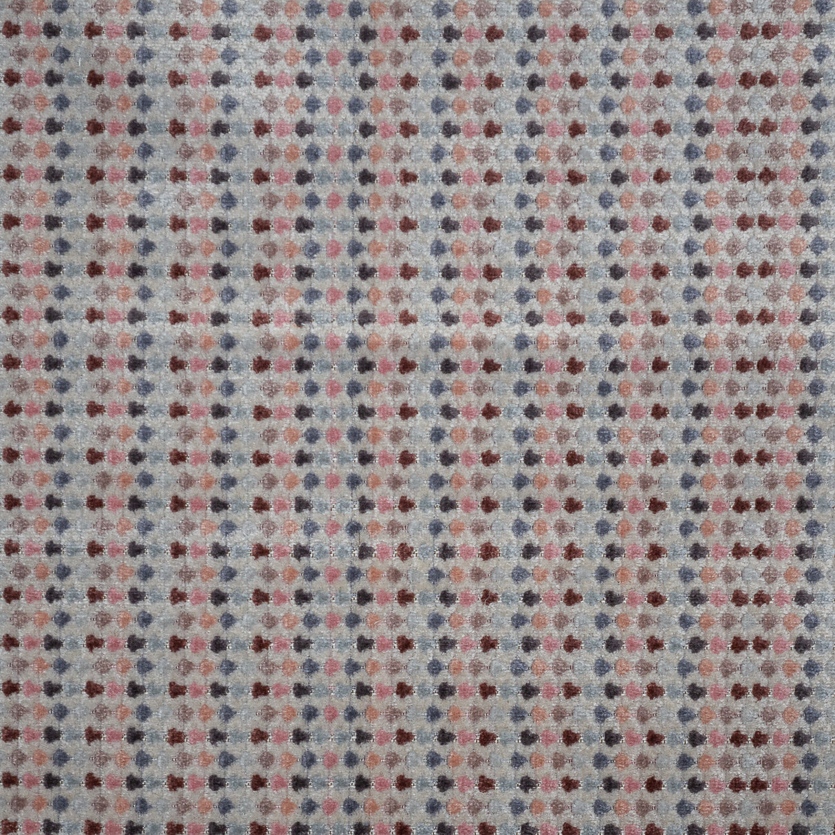 Eade’s # 648 TULIP