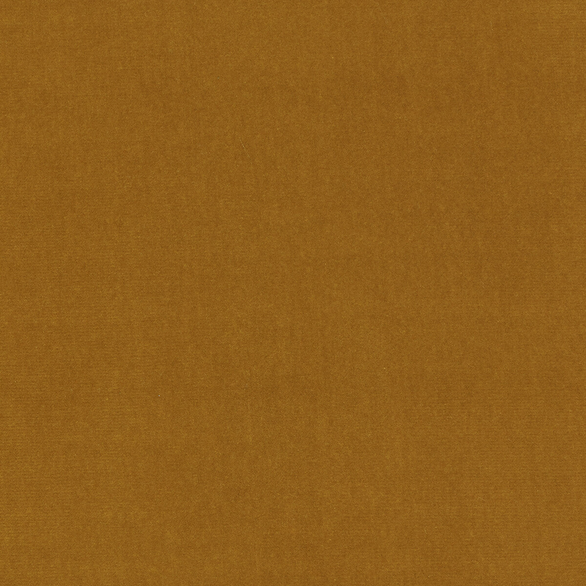 KRAVET DESIGN LZ-30219.05.0 ETERNAL 05 Fabric - Eade's Wallpaper