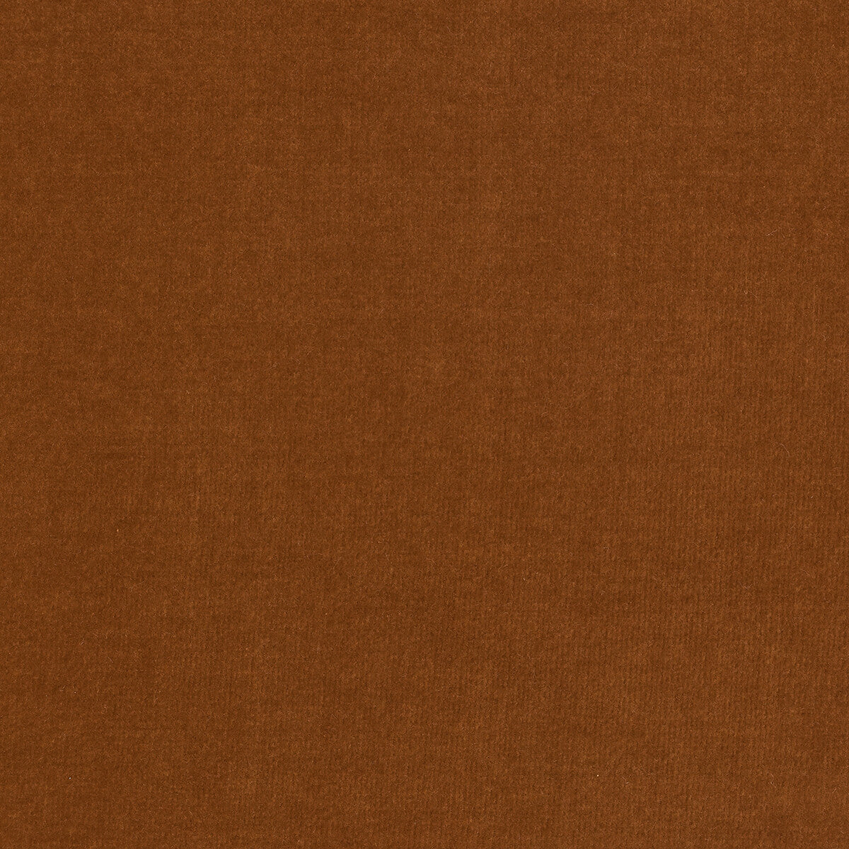 KRAVET DESIGN LZ-30219.08.0 ETERNAL 08 Fabric - Eade's Wallpaper