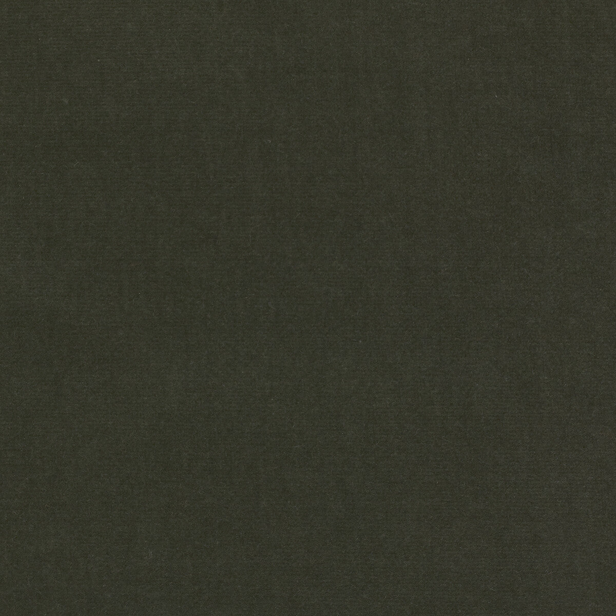 KRAVET DESIGN LZ-30219.29.0 ETERNAL 29 Fabric - Eade's Wallpaper