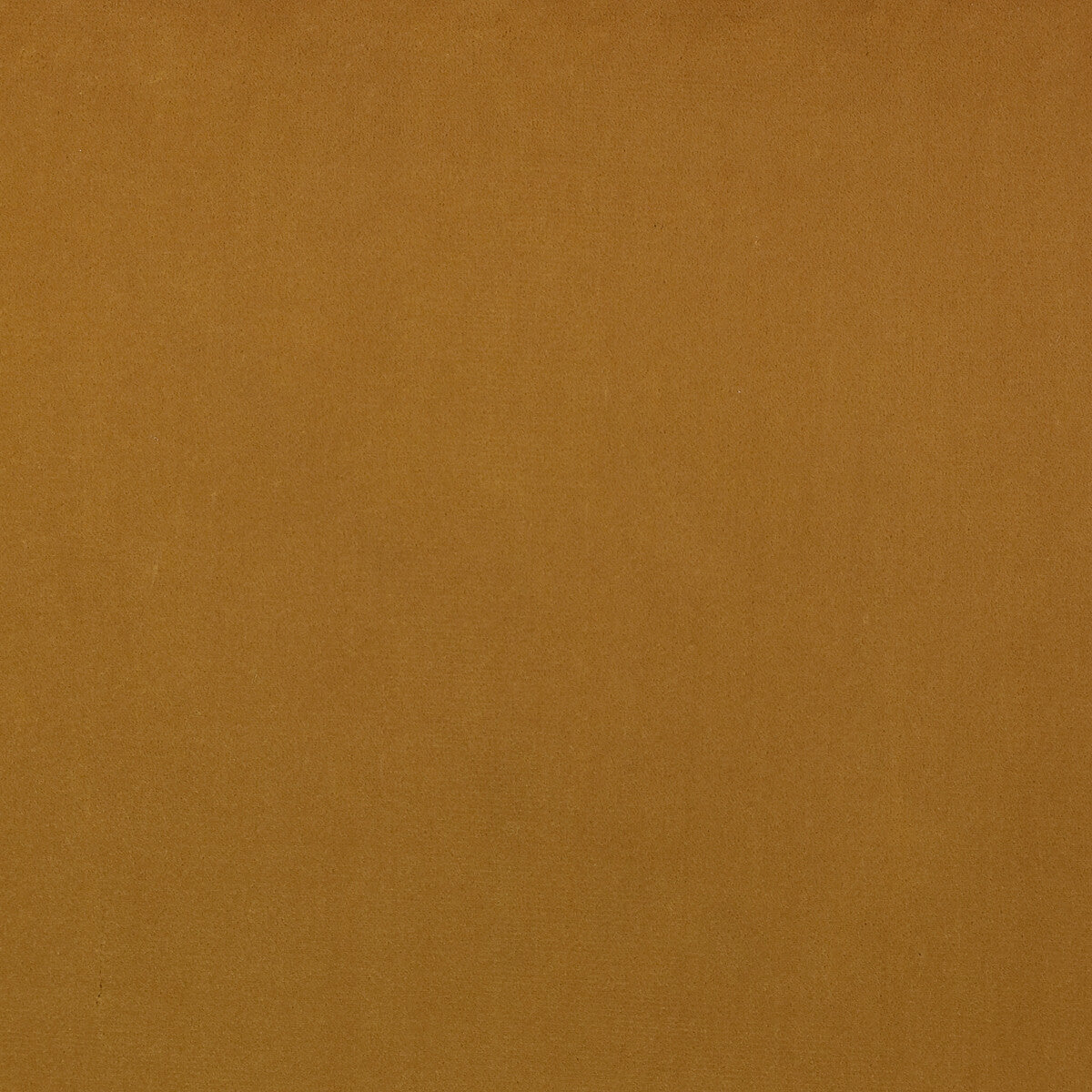 KRAVET DESIGN LZ-30229.05.0 GURU 05 Fabric - Eade's Wallpaper