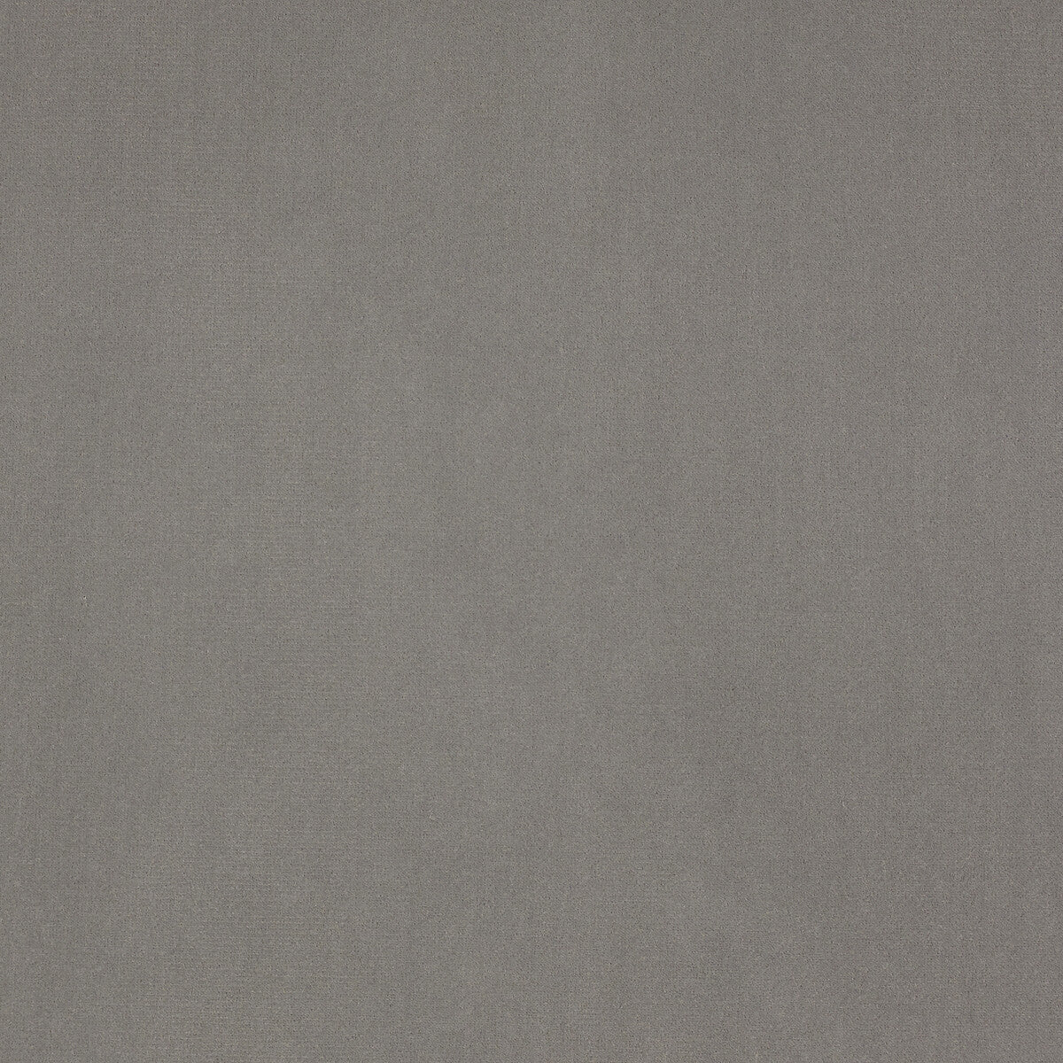 KRAVET DESIGN LZ-30229.19.0 GURU 19 Fabric - Eade's Wallpaper