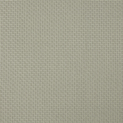 KRAVET DESIGN LZ-30428.16.0 LEZNA 16 Fabric - LIZZO LEZNA