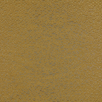 KRAVET DESIGN LZ-30431.05.0 LIDIA 5 Fabric - LIZZO ANCESTRY