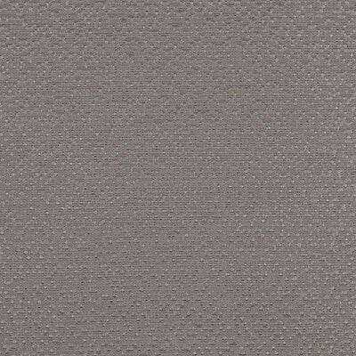 KRAVET DESIGN LZ-30431.11.0 LIDIA 11 Fabric - LIZZO ANCESTRY