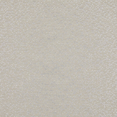 KRAVET DESIGN LZ-30431.17.0 LIDIA 17 Fabric - LIZZO ANCESTRY