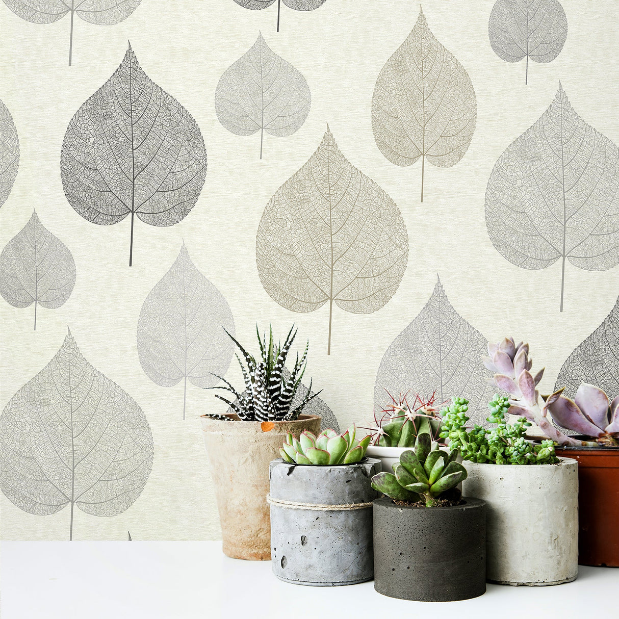Crown  M1070 Quest Charcoal Leaf Wallpaper