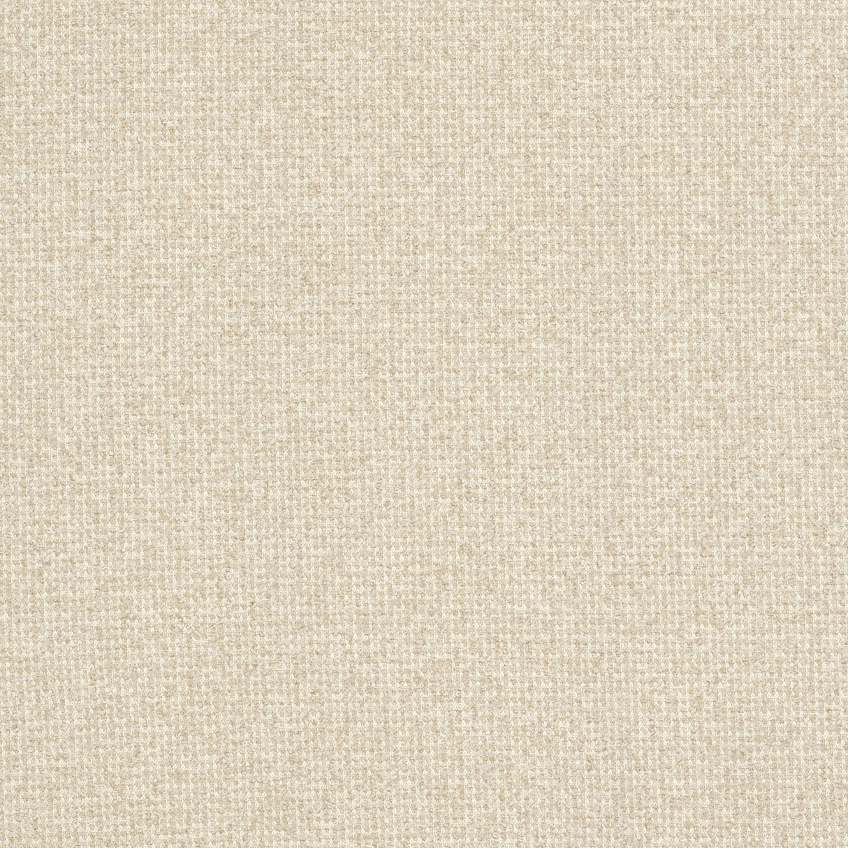 Eade's MAGN-1-sample BISCUIT