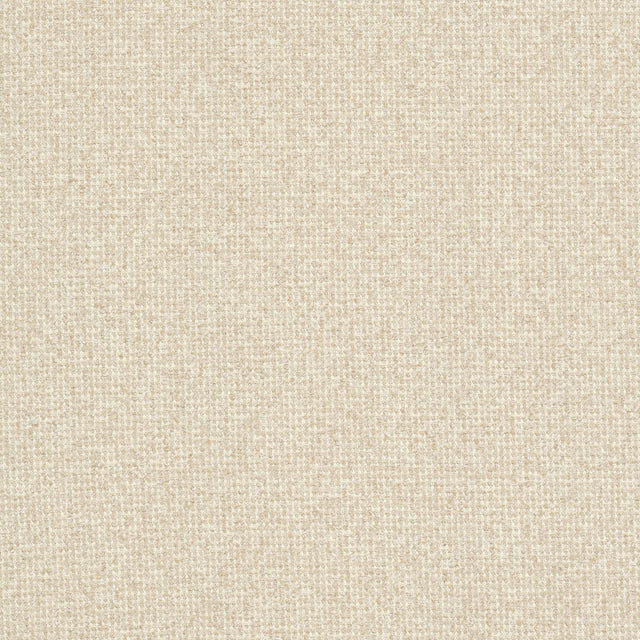 Eade's MAGN-1-sample BISCUIT